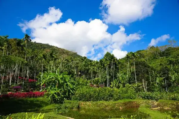 Yanoda in Hainan