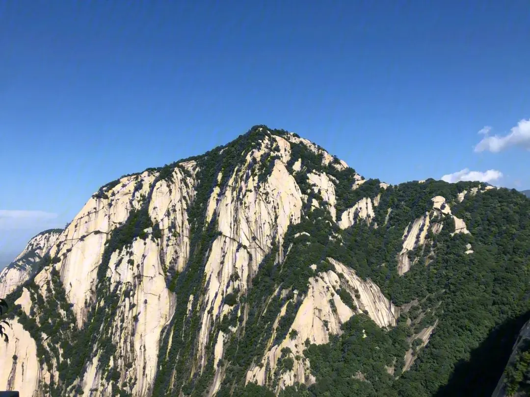 Sheer granite cliffs of Mount Hua covered in pine forest